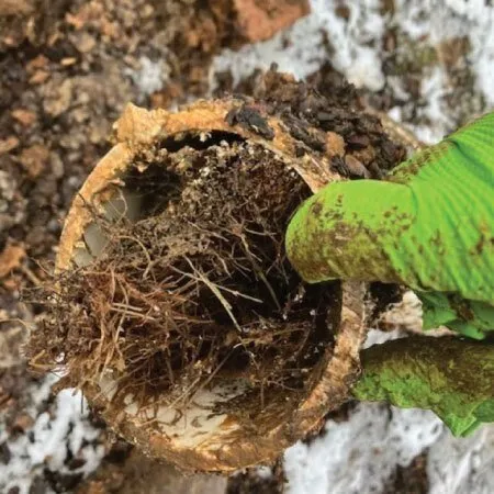 Affordable pipe repair for homes in Wilmington, NC by Roto-Rooter Plumbing & Drain Service