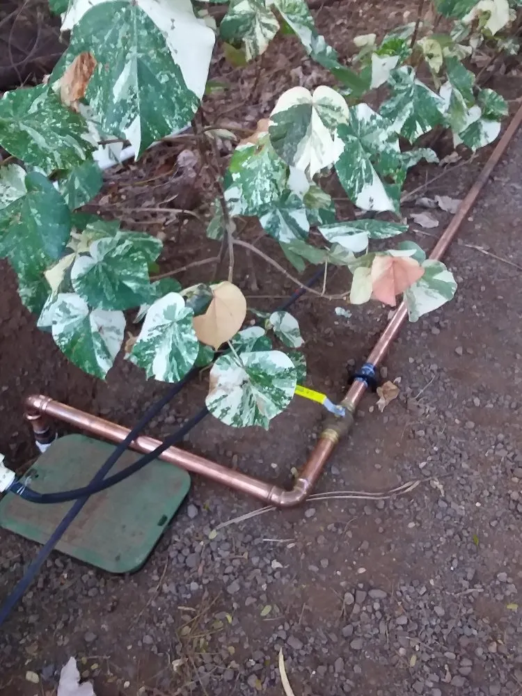 Professional drain cleaning for homes in Maui, HI by Roto-Rooter Plumbing & Drain Services