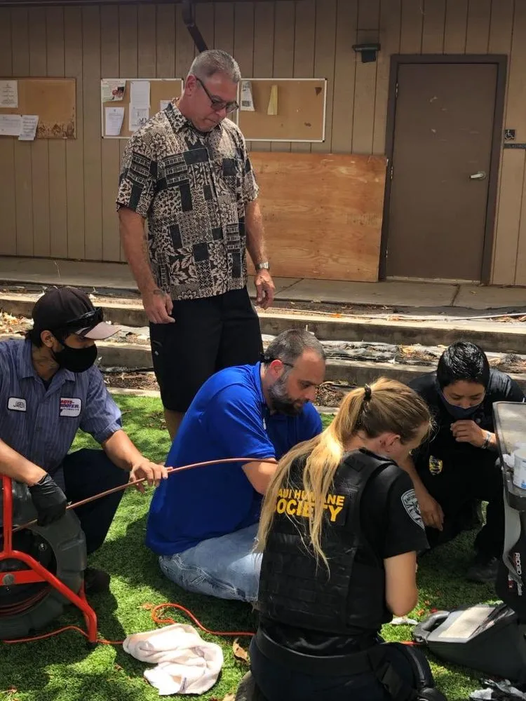 Professional plumbing repair experts serving Maui, HI - Roto-Rooter Plumbing & Drain Services