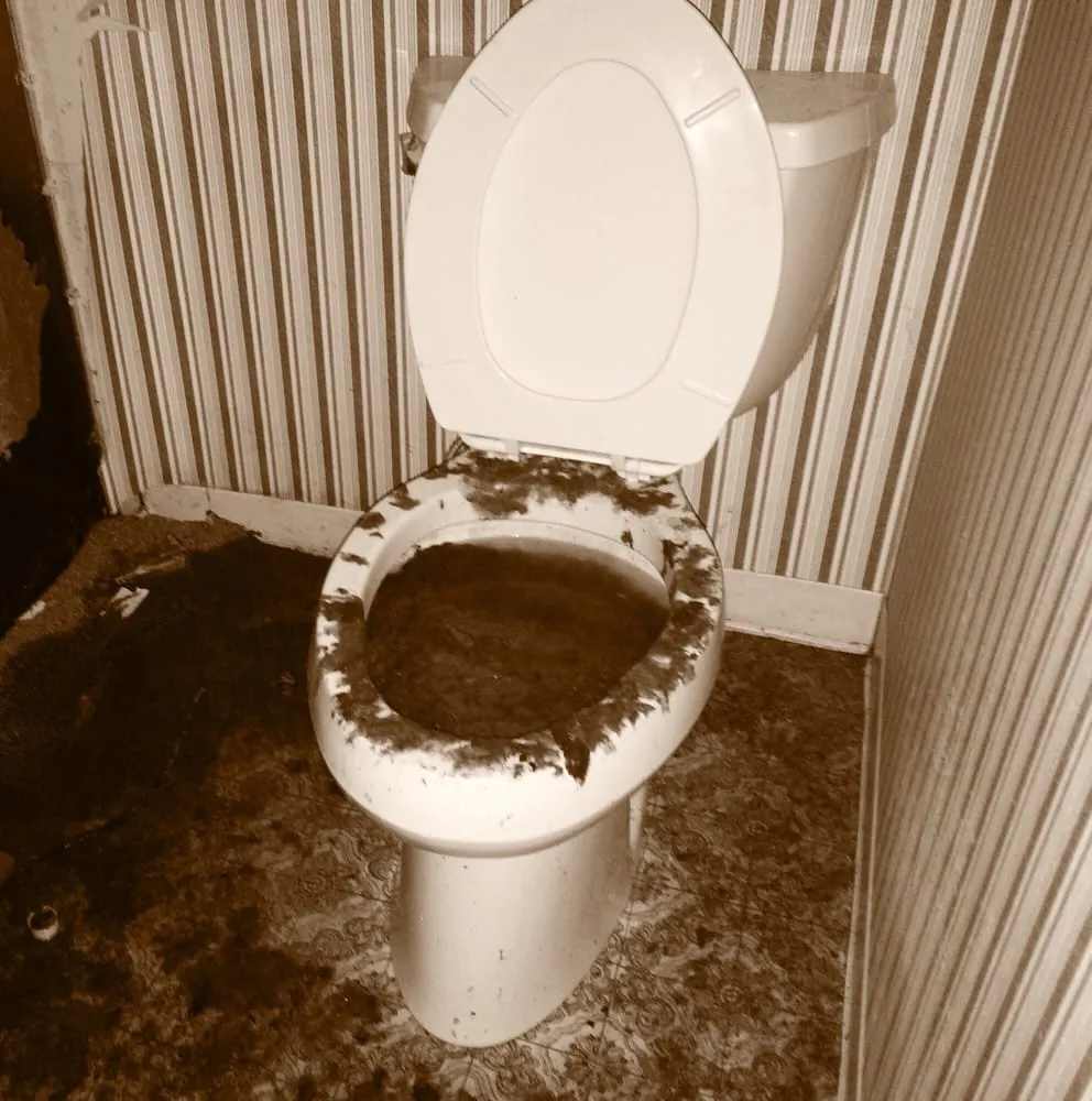 Reliable pipe repair for homes in Williston, VT by Roto-Rooter Plumbing & Drain Services