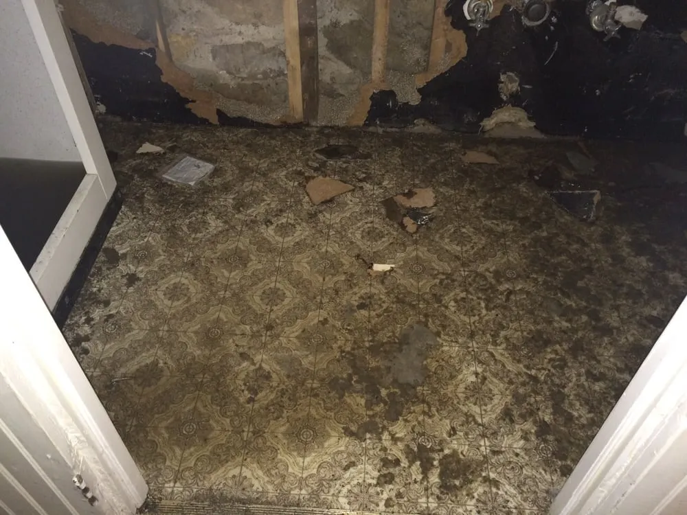 Top-rated emergency plumbing experts serving Williston, VT - Roto-Rooter Plumbing & Drain Services