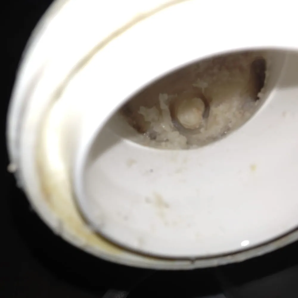 Top-rated leak detection in Alexandria, VA by Roto-Rooter Plumbing & Water Cleanup