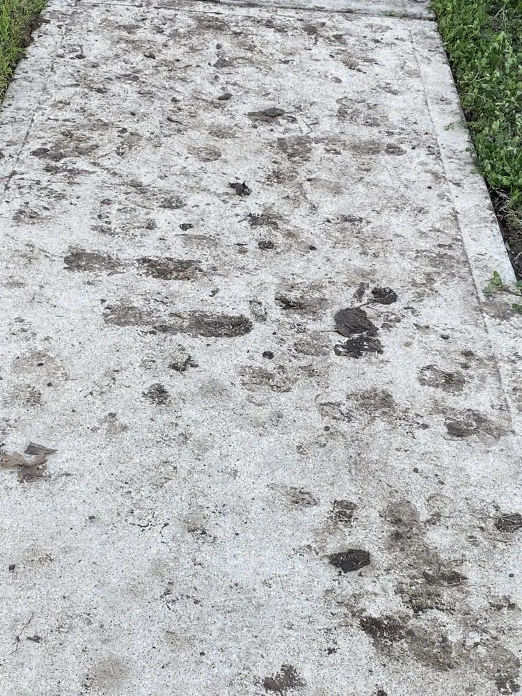 Emergency drain cleaning experts serving Austin, TX - Roto-Rooter Plumbing & Water Cleanup