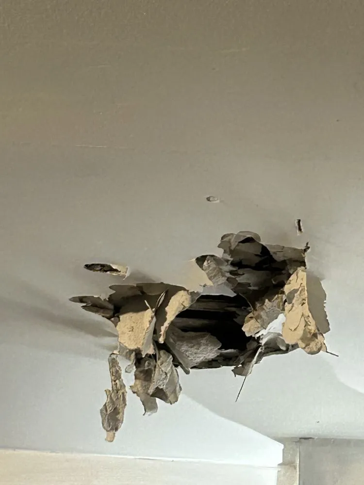 Slide of Roto-Rooter Plumbing & Water Cleanup