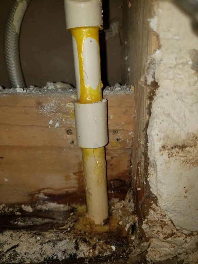 Top-rated emergency plumbing for homes in Bellevue, WA by Roto-Rooter Plumbing & Water Cleanup