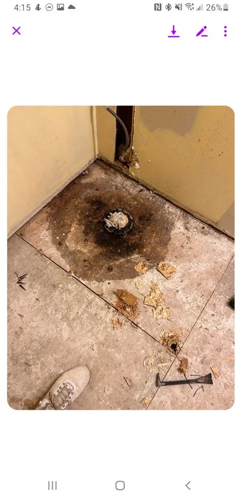 Top-rated leak detection service in Bellevue, WA - Roto-Rooter Plumbing & Water Cleanup