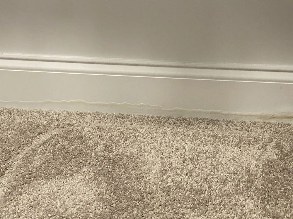 Professional drain cleaning service in Charlotte, NC - Roto-Rooter Plumbing & Water Cleanup