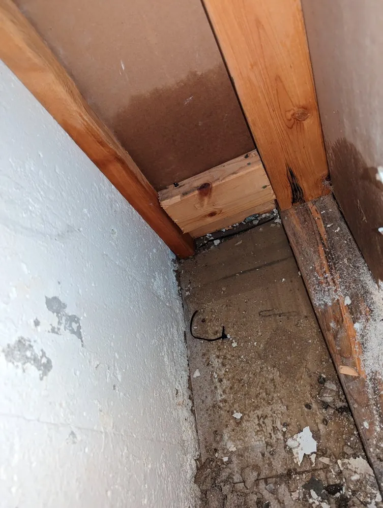 Reliable water heater service for homes in Chicago, IL by Roto-Rooter Plumbing & Water Cleanup