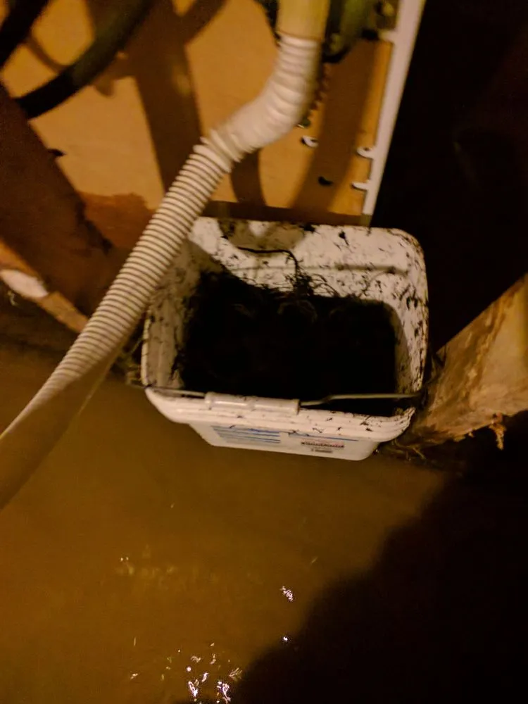 Top-rated drain cleaning experts serving Cincinnati, OH - Roto-Rooter Plumbing & Water Cleanup