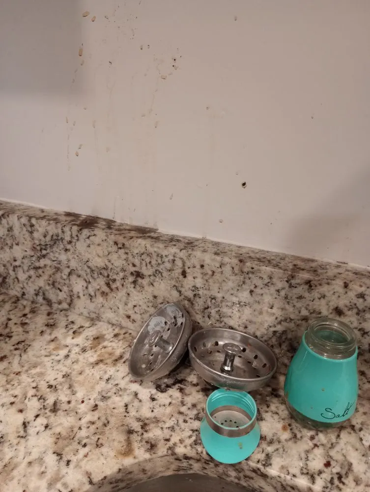 Trusted pipe repair service in Clearwater, FL - Roto-Rooter Plumbing & Water Cleanup