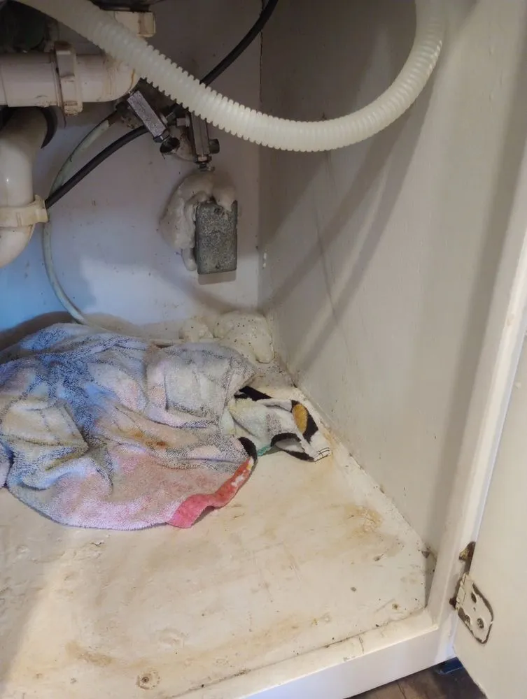 Expert drain cleaning in Clearwater, FL by Roto-Rooter Plumbing & Water Cleanup