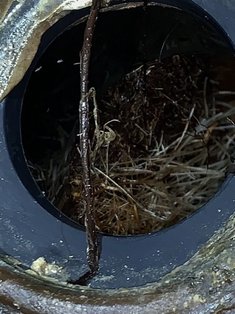 Affordable pipe repair for homes in Colorado Springs, CO by Roto-Rooter Plumbing & Water Cleanup