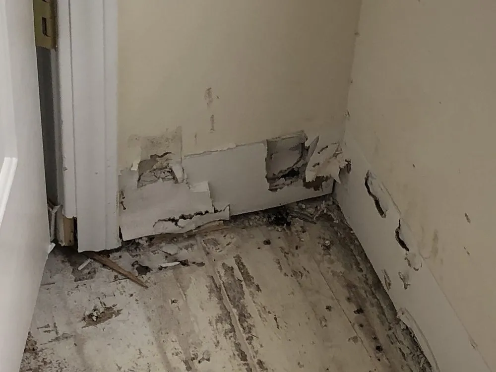 Emergency drain cleaning experts serving Columbia, SC - Roto-Rooter Plumbing & Water Cleanup