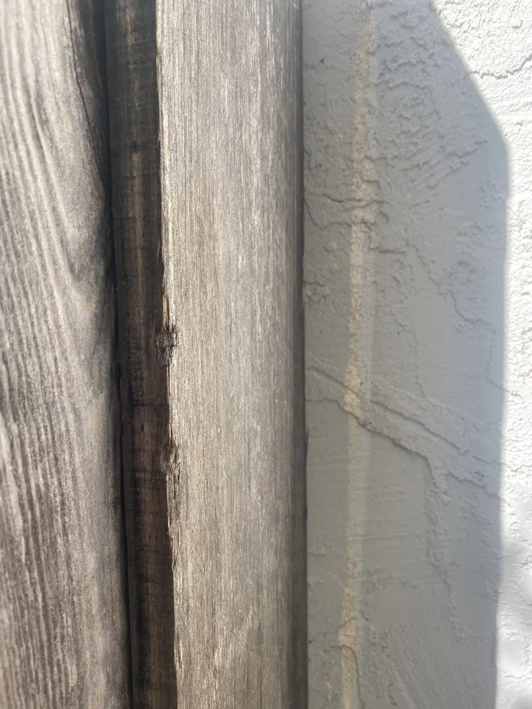 Slide of Roto-Rooter Plumbing & Water Cleanup