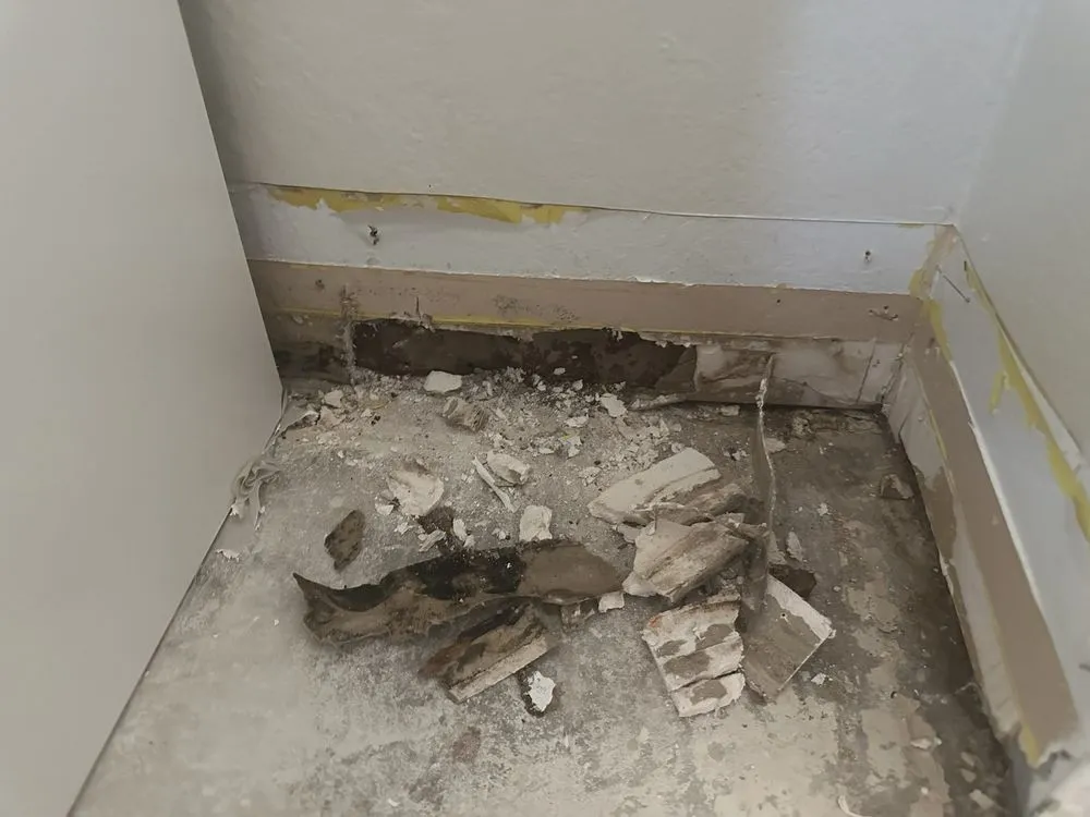 Expert leak detection for homes in Corona, CA by Roto-Rooter Plumbing & Water Cleanup