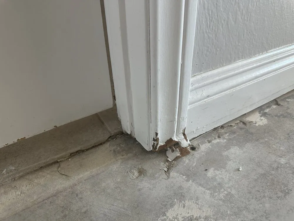 Emergency leak detection service in Corona, CA - Roto-Rooter Plumbing & Water Cleanup