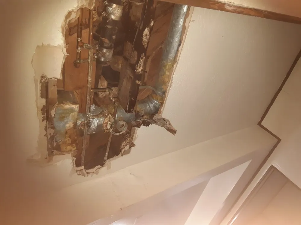 Professional leak detection in Cotati, CA by Roto-Rooter Plumbing & Water Cleanup