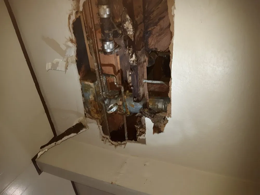 Emergency leak detection experts serving Cotati, CA - Roto-Rooter Plumbing & Water Cleanup