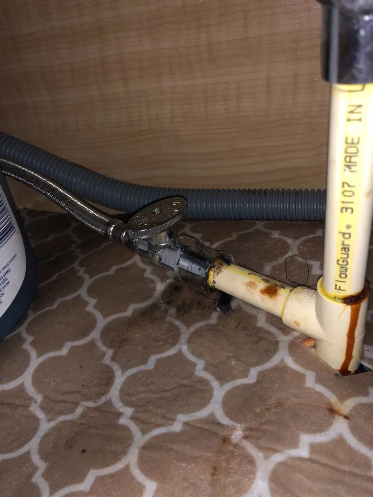 Slide of Roto-Rooter Plumbing & Water Cleanup