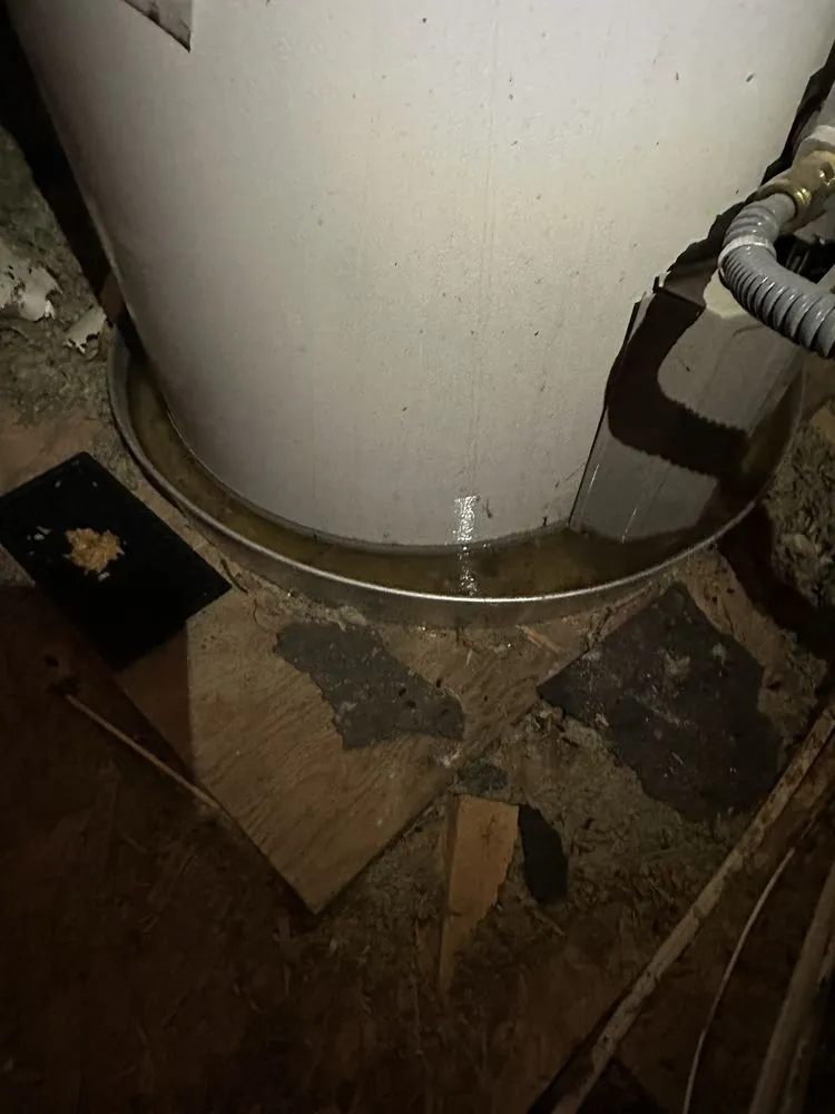 Emergency leak detection experts serving Helotes, TX - Roto-Rooter Plumbing & Water Cleanup