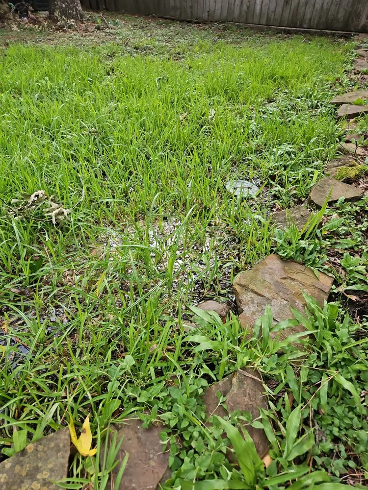 Emergency pipe repair service in Houston, TX - Roto-Rooter Plumbing & Water Cleanup