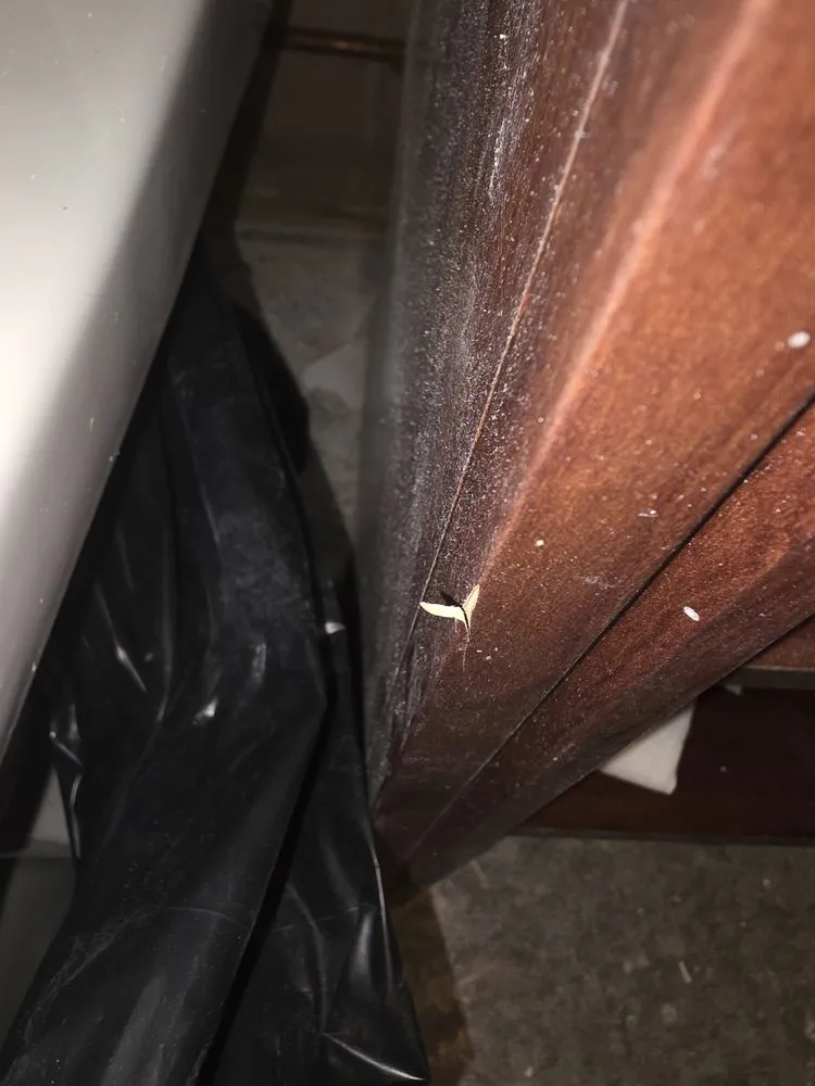 Trusted drain cleaning in Indianapolis, IN by Roto-Rooter Plumbing & Water Cleanup