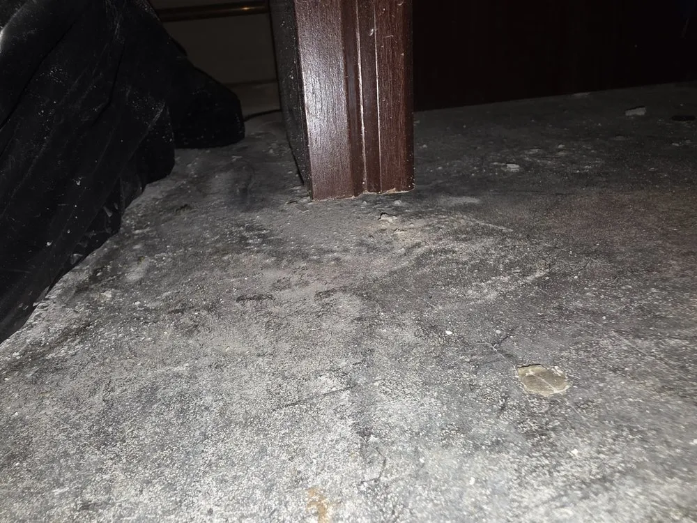 Reliable leak detection in Indianapolis, IN by Roto-Rooter Plumbing & Water Cleanup