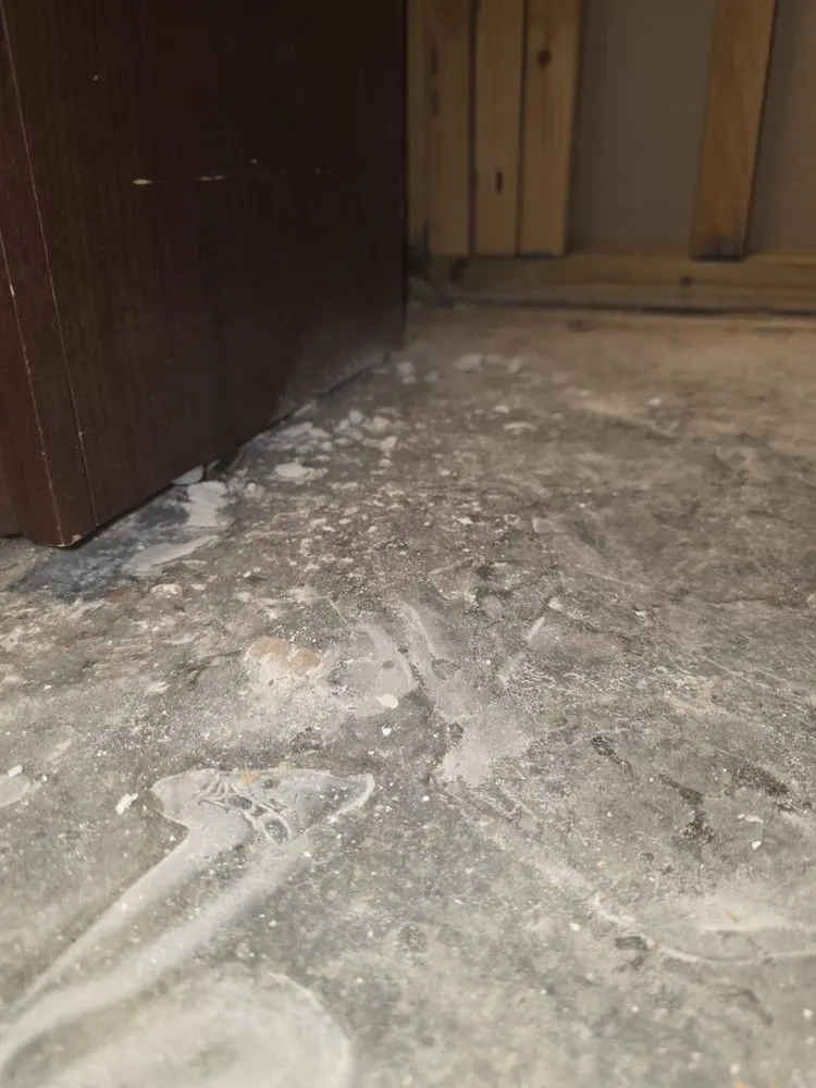 Professional water heater service for homes in Indianapolis, IN by Roto-Rooter Plumbing & Water Cleanup