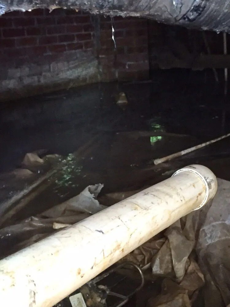 Affordable drain cleaning service in Jackson, MS - Roto-Rooter Plumbing & Water Cleanup