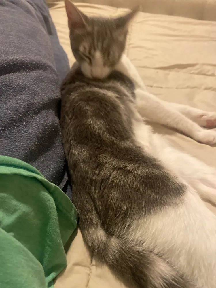 Emergency leak detection in Long Beach, CA by Roto-Rooter Plumbing & Water Cleanup