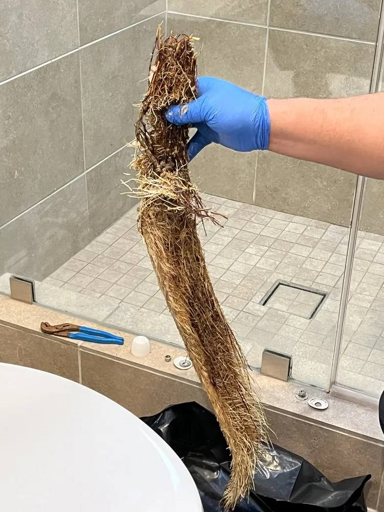 Slide of Roto-Rooter Plumbing & Water Cleanup