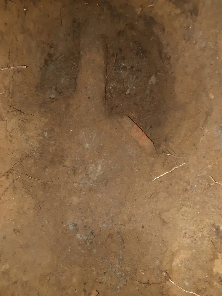 Professional pipe repair in Lynnwood, WA by Roto-Rooter Plumbing & Water Cleanup