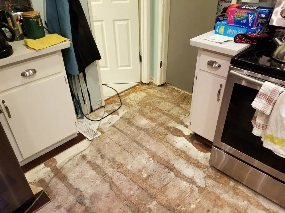 Emergency plumbing repair service in Lynnwood, WA - Roto-Rooter Plumbing & Water Cleanup