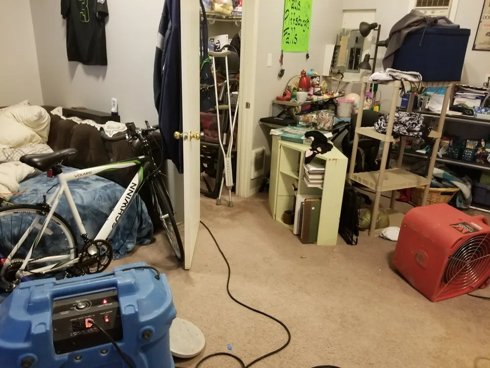 Expert leak detection in Lynnwood, WA by Roto-Rooter Plumbing & Water Cleanup