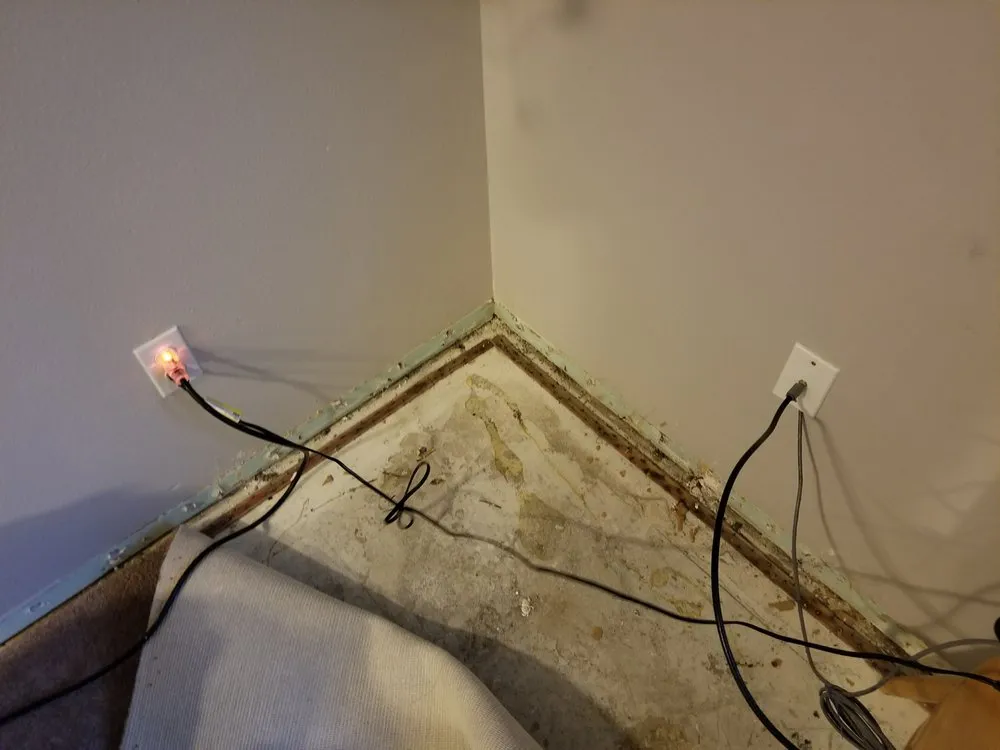 Professional water heater service in Lynnwood, WA by Roto-Rooter Plumbing & Water Cleanup