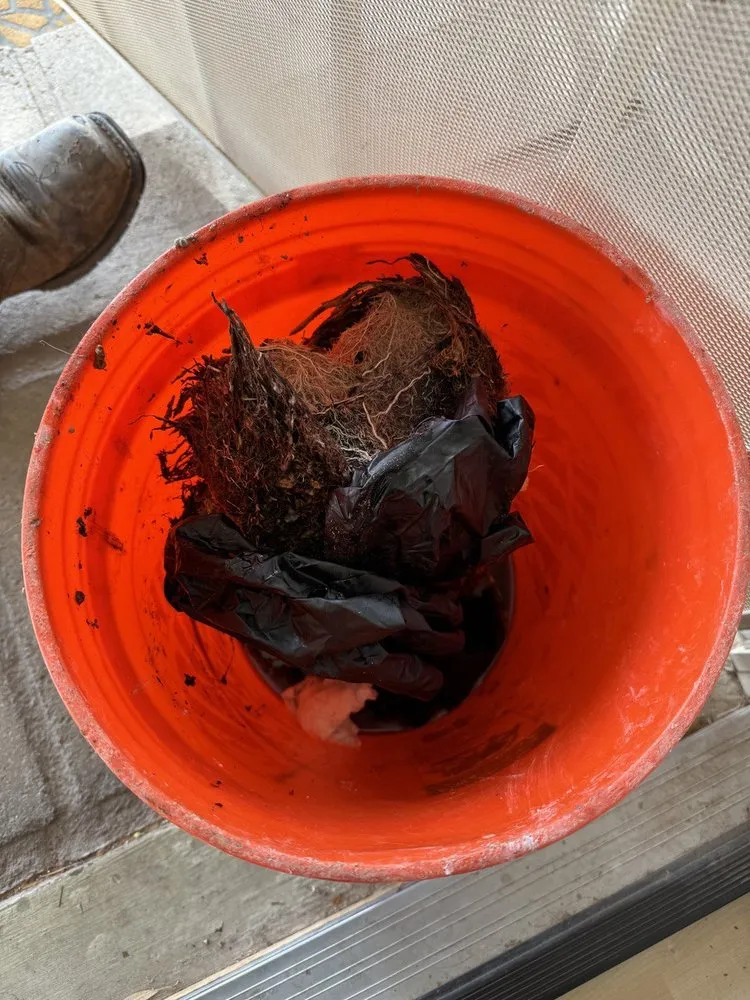 Slide of Roto-Rooter Plumbing & Water Cleanup