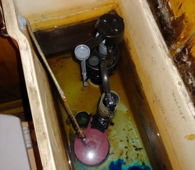 Top-rated plumbing repair for homes in Murrysville, PA by Roto-Rooter Plumbing & Water Cleanup