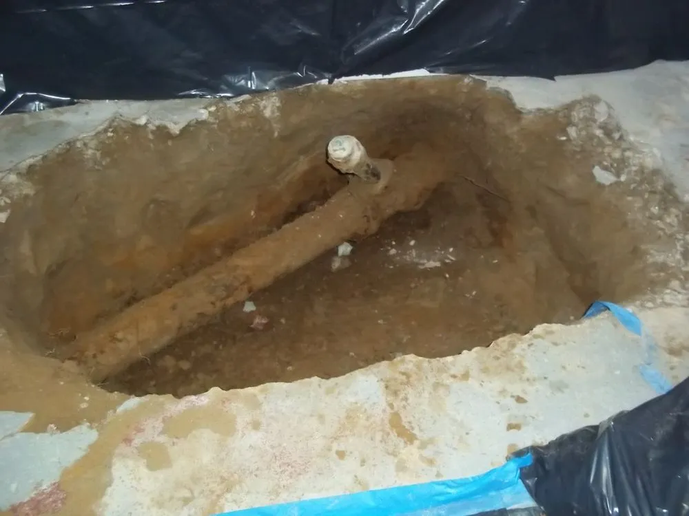 Professional plumbing repair experts serving New Haven, CT - Roto-Rooter Plumbing & Water Cleanup