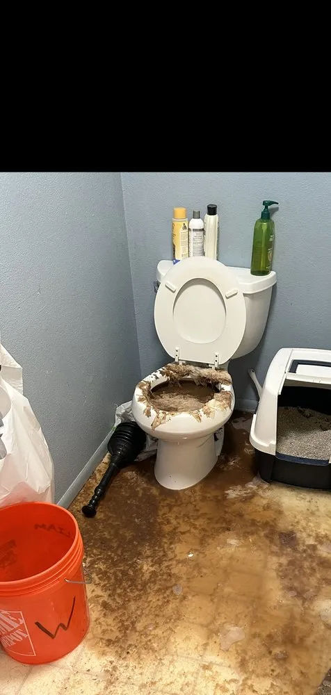 Trusted plumbing repair service in Olympia, WA - Roto-Rooter Plumbing & Water Cleanup