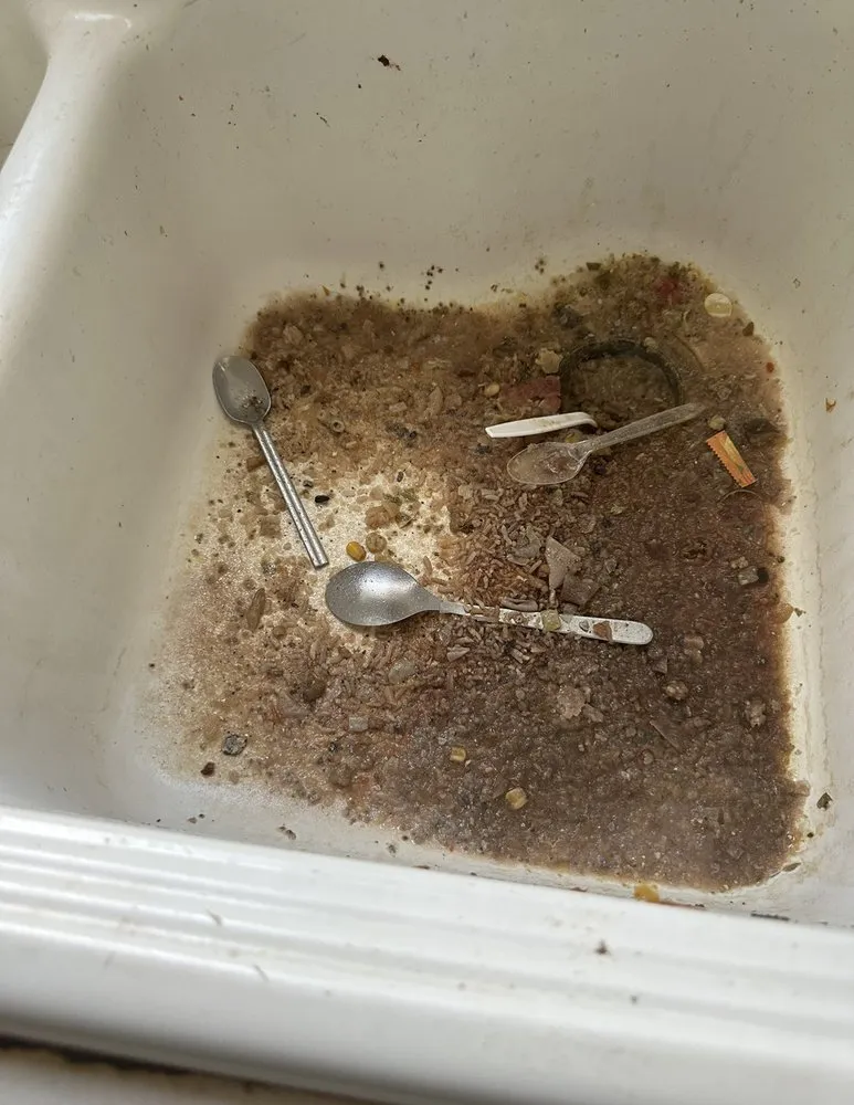 Affordable drain cleaning service in Olympia, WA - Roto-Rooter Plumbing & Water Cleanup
