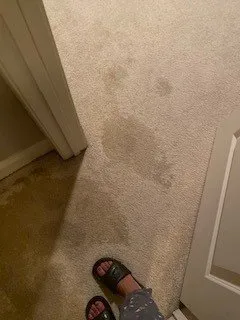 Professional pipe repair for homes in Pelham, AL by Roto-Rooter Plumbing & Water Cleanup