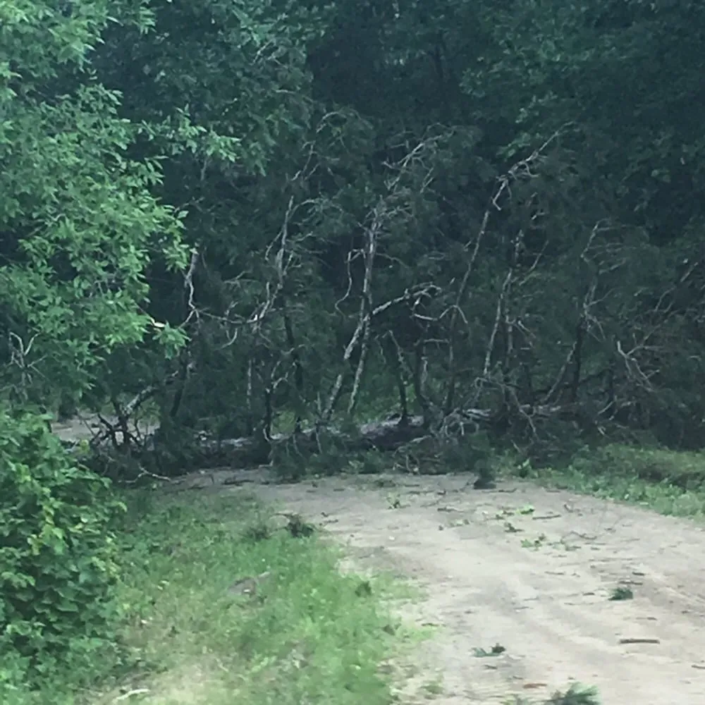 Expert pipe repair experts serving Plymouth, MN - Roto-Rooter Plumbing & Water Cleanup