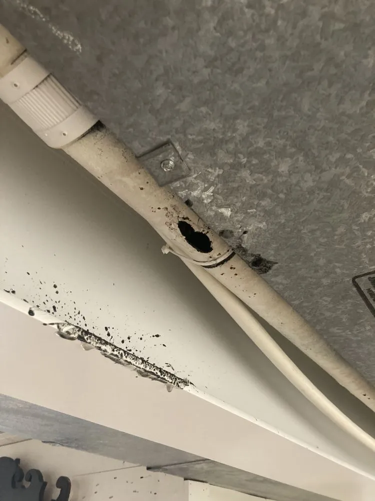 Affordable plumbing repair in Portland, OR by Roto-Rooter Plumbing & Water Cleanup