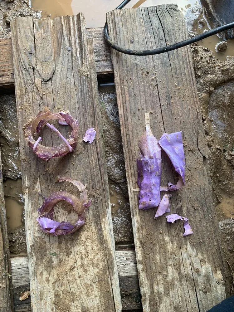 Quality drain cleaning for homes in Rancho Cucamonga, CA by Roto-Rooter Plumbing & Water Cleanup