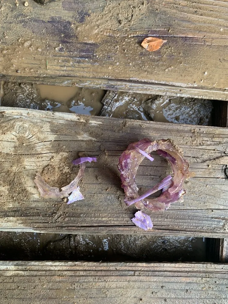 Top-rated leak detection service in Rancho Cucamonga, CA - Roto-Rooter Plumbing & Water Cleanup