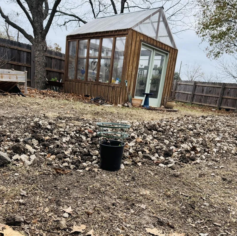 Quality drain cleaning service in Round Rock, TX - Roto-Rooter Plumbing & Water Cleanup