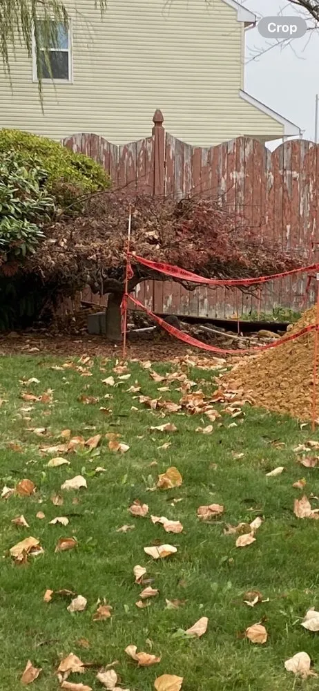 Slide of Roto-Rooter Plumbing & Water Cleanup