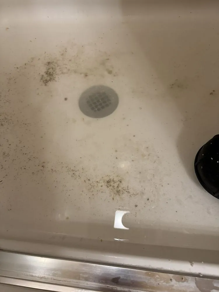 Affordable plumbing repair service in Saint Petersburg, FL - Roto-Rooter Plumbing & Water Cleanup