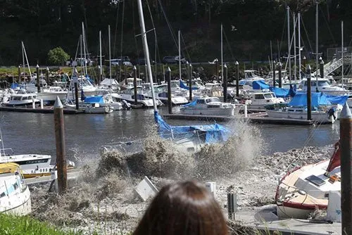 Reliable plumbing repair in Santa Cruz, CA by Roto-Rooter Plumbing & Water Cleanup