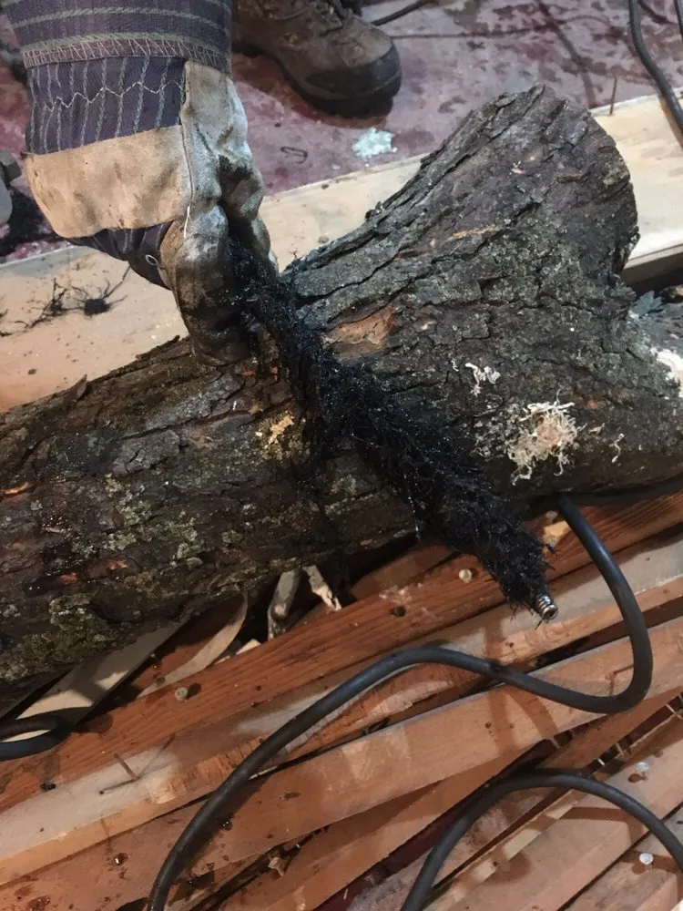 Slide of Roto-Rooter Plumbing & Water Cleanup